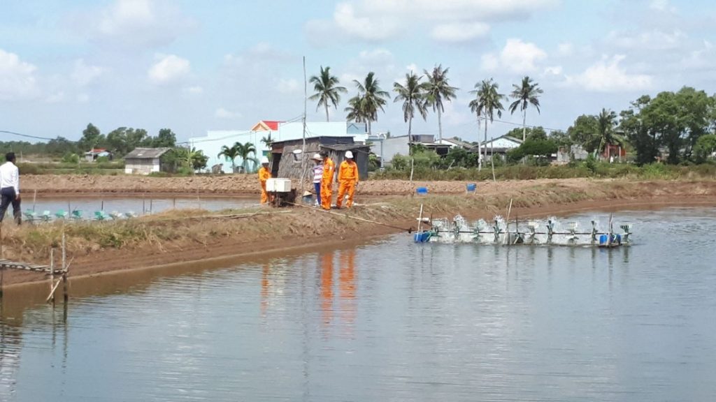 Bùn phù sa lắng đọng trong ao nuôi trồng