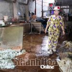 cơ sở chế biến da bò xả nước thải ra sông